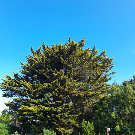 Le Stud' A Saint Pierre D'Oleron ! Apartman Szoba fotó