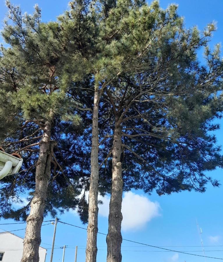 Le Stud' A Saint Pierre D'Oleron ! Apartman Kültér fotó