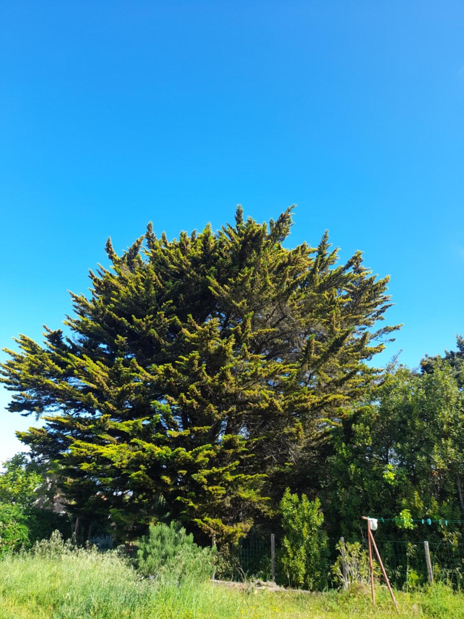 Le Stud' A Saint Pierre D'Oleron ! Apartman Szoba fotó
